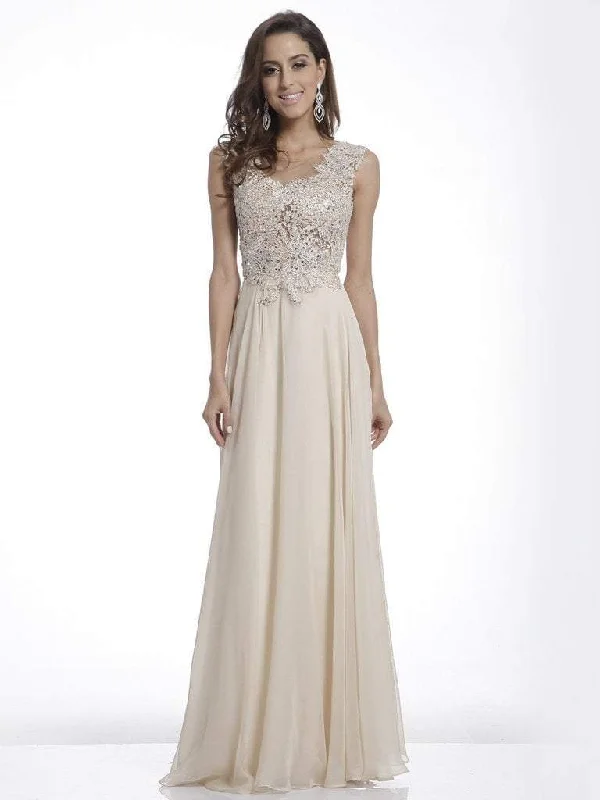 Holiday Glam Cinderella Divine Cap Sleeve Beaded Lace Chiffon Gown CJ1022